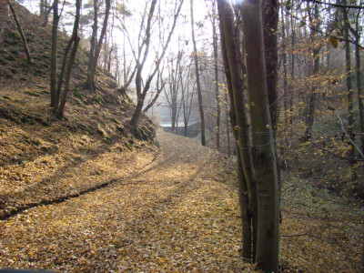 Tapeta: Podzim 1