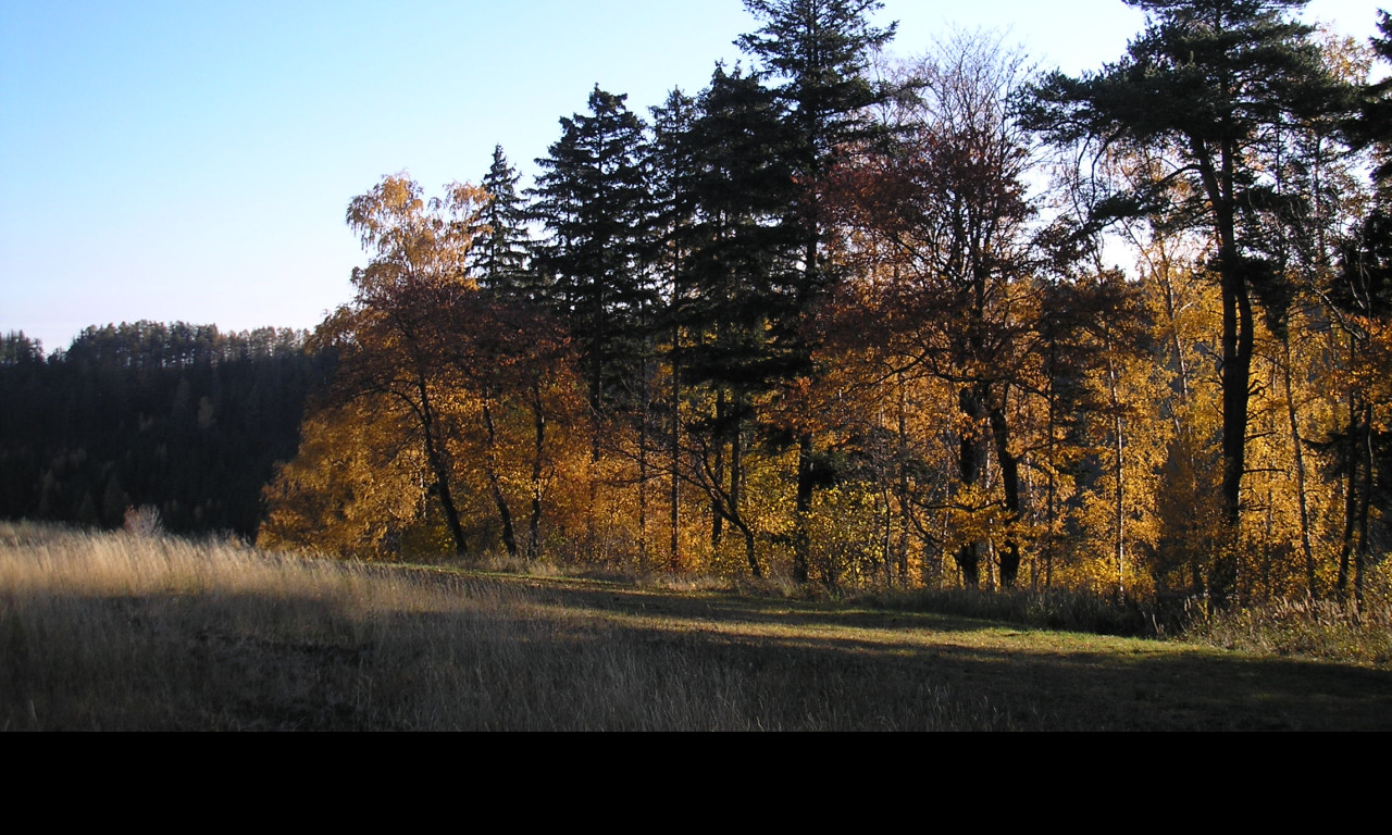 Tapeta podzim_nad_radimeri_2