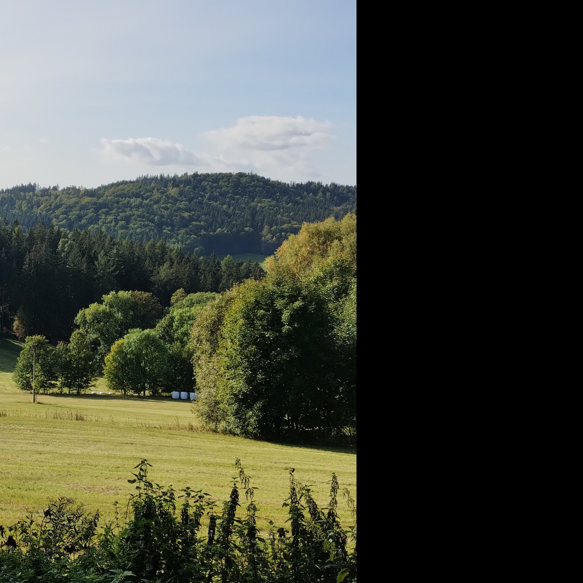 Tapeta podzim_v_orlickych_horach