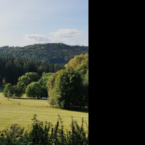 Tapeta podzim_v_orlickych_horach