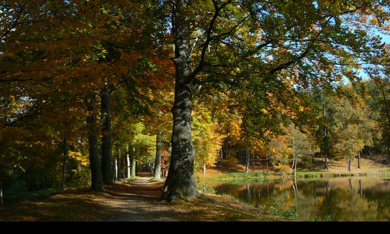 Tapeta podzimni_park