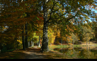 Tapeta podzimni_park