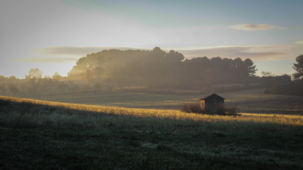 Tapeta podzimni_rano_v_provence