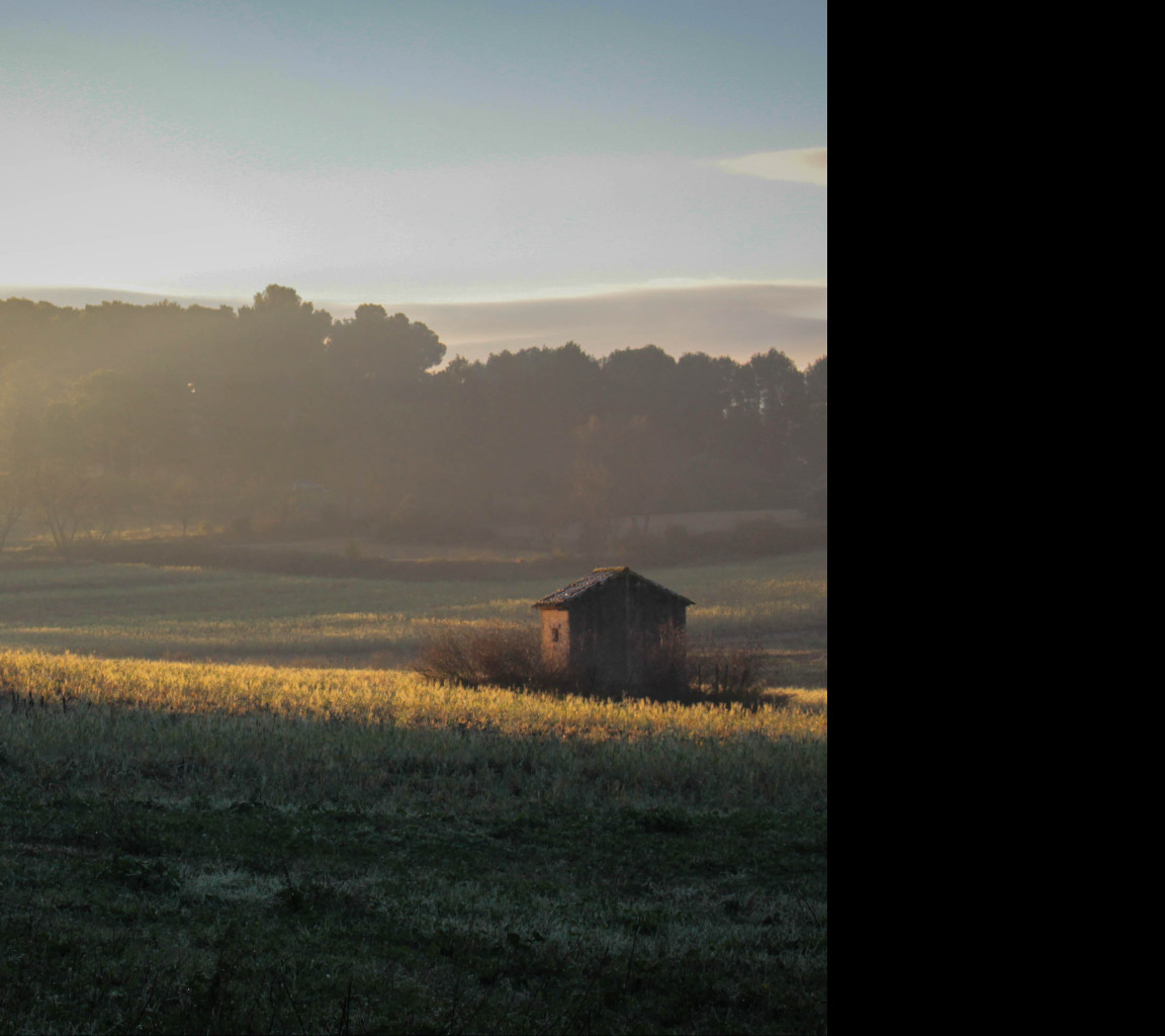 Tapeta podzimni_rano_v_provence