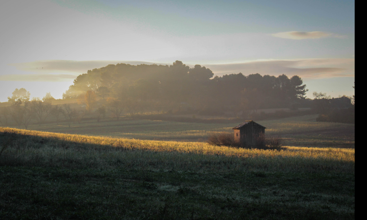 Tapeta podzimni_rano_v_provence