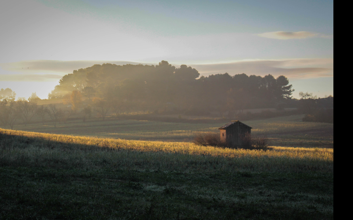 Tapeta podzimni_rano_v_provence