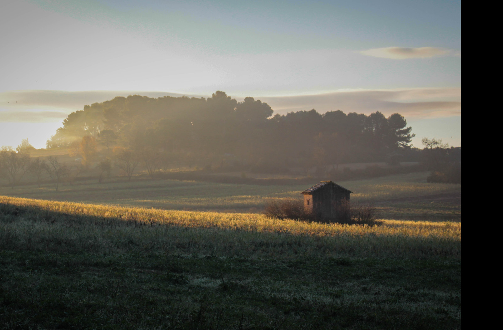 Tapeta podzimni_rano_v_provence