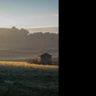 Tapeta podzimni_rano_v_provence