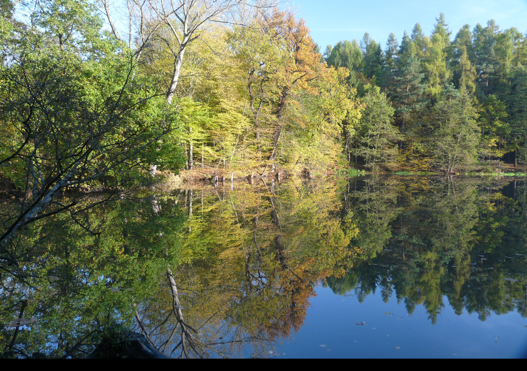 Tapeta podzimni_rybnik