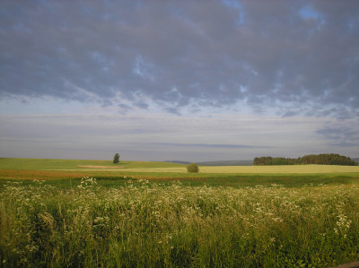 Tapeta: Pole nad Radim 1