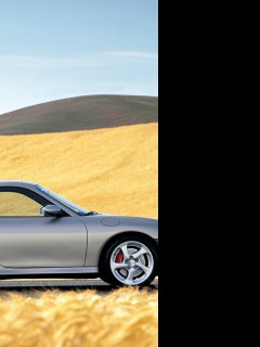 Tapeta porche