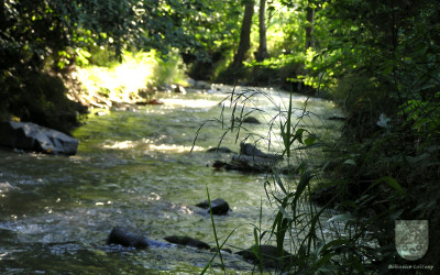 Tapeta: Potok v Blkovicch-Laanech