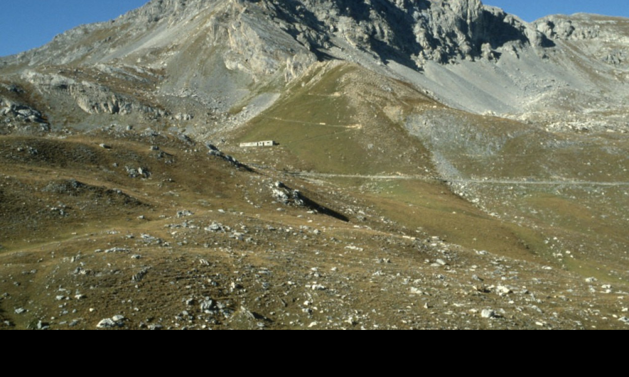 Tapeta prazzo
