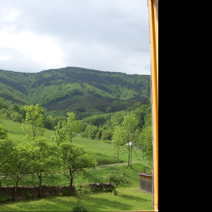 Tapeta probuzeni___pohled_z_okna