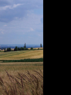 Tapeta promnenliva_krajina