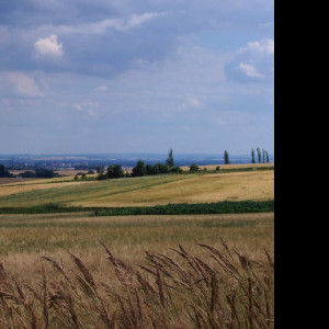 Tapeta promnenliva_krajina