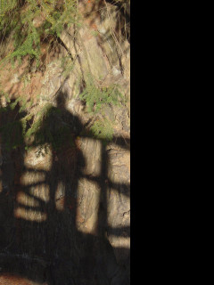 Tapeta pruhonicky_park_rijen_2008