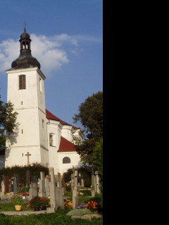 Tapeta prusiny