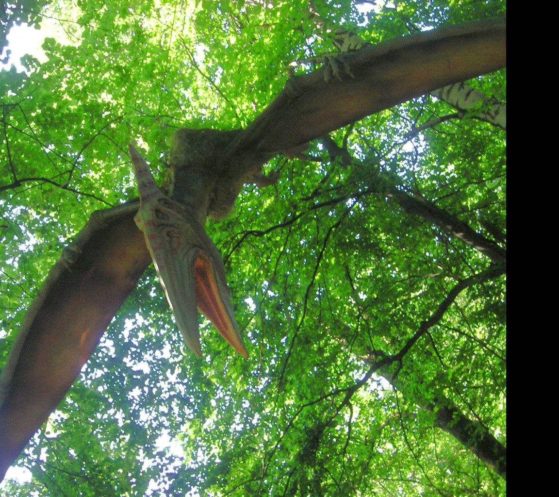 Tapeta pterodaktyl