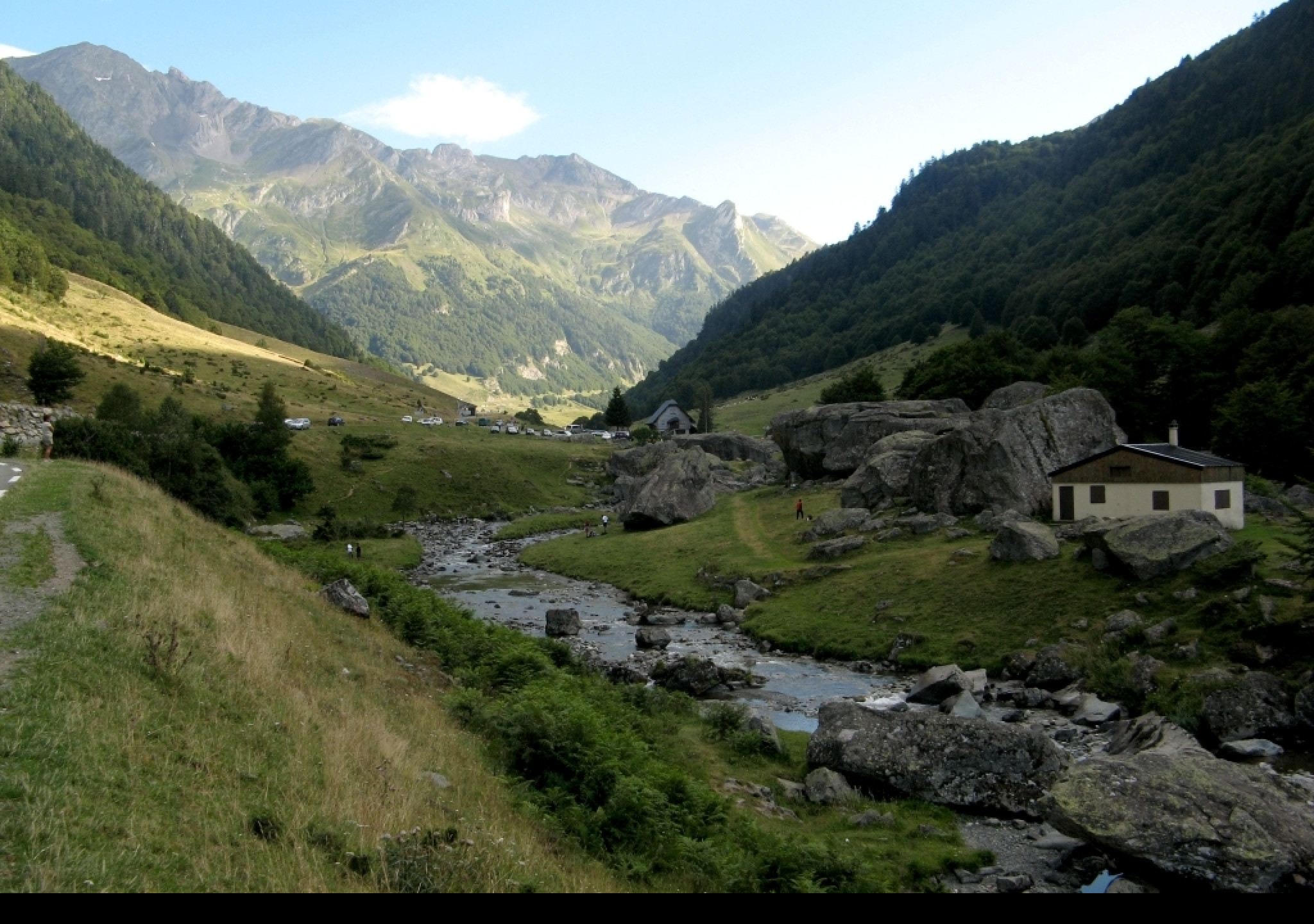 Tapeta pyreneje_2