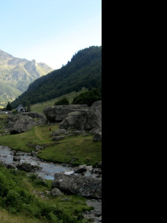 Tapeta pyreneje_2