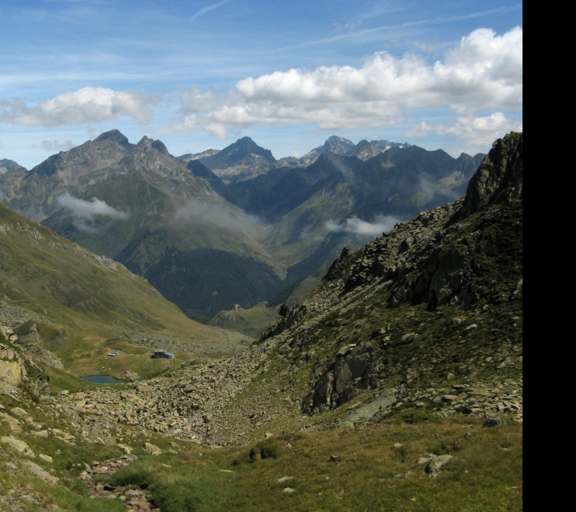 Tapeta pyreneje_4