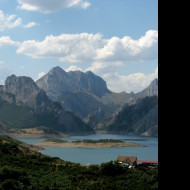 Tapeta pyreneje_6