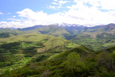 Tapeta: Pyreneye 7