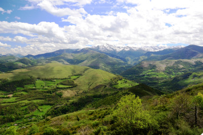 Tapeta: Pyreneye 9