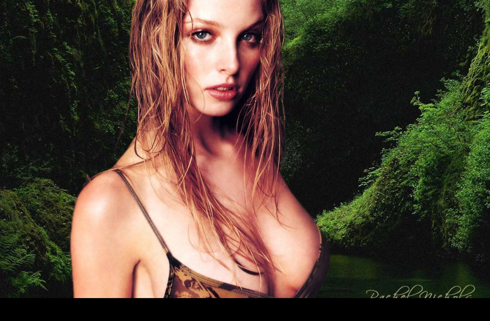 Tapeta rachelnichols