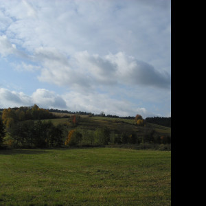 Tapeta radimer_02