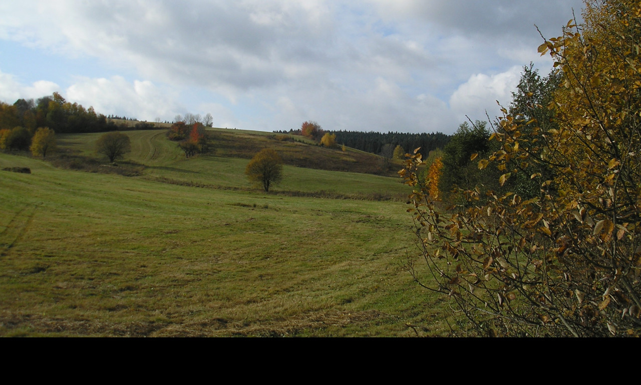 Tapeta radimer_03