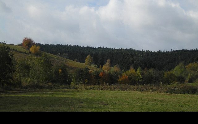 Tapeta radimer_04