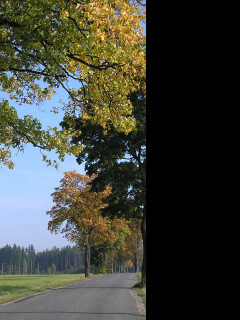 Tapeta radimer_podzim_09