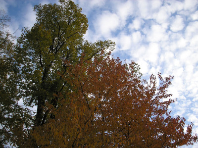Tapeta: Radim-podzimn obloha