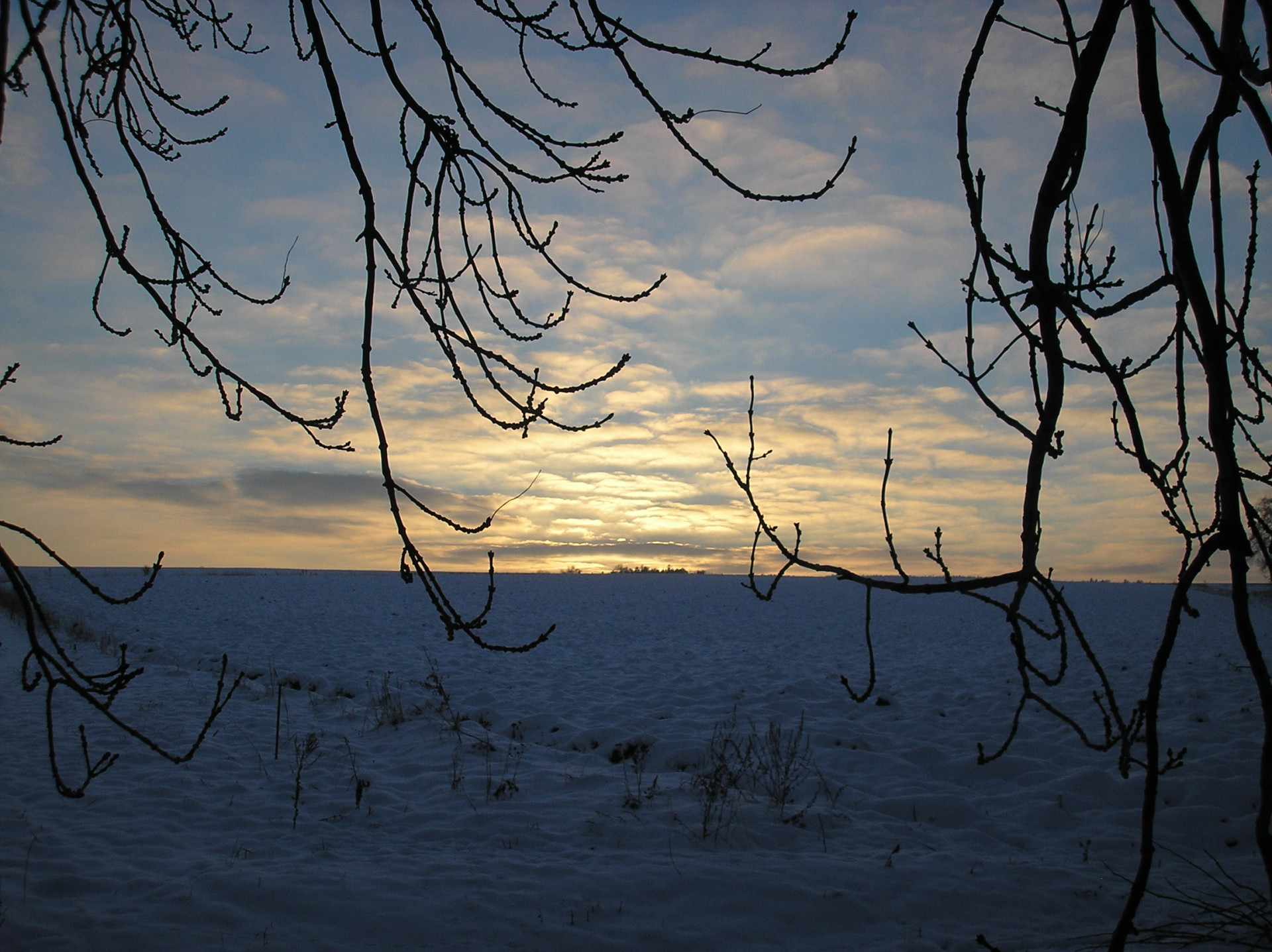 Tapeta radimer_promeny_02