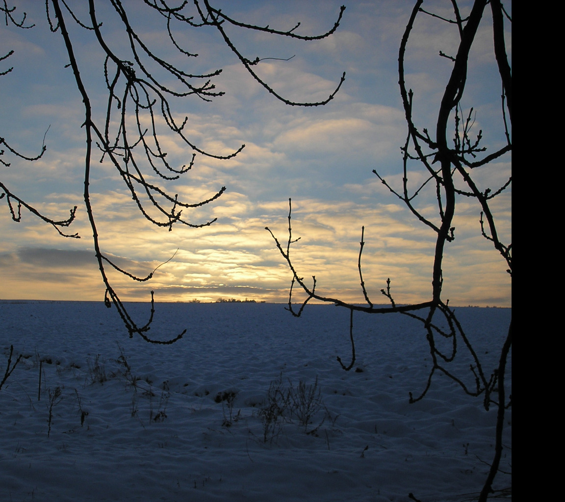 Tapeta radimer_promeny_02