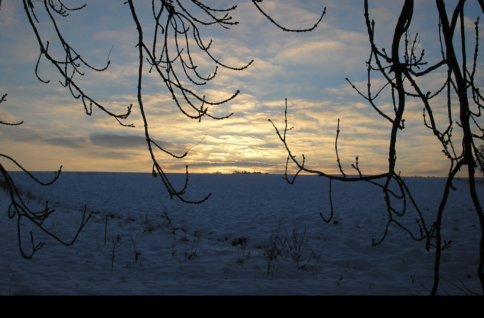 Tapeta radimer_promeny_02