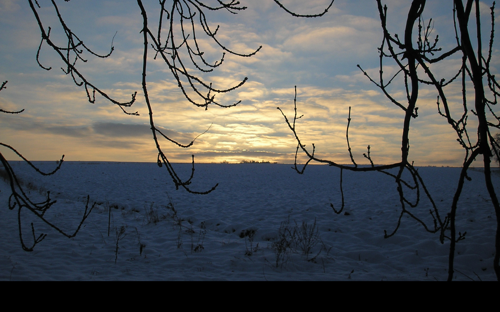 Tapeta radimer_promeny_02