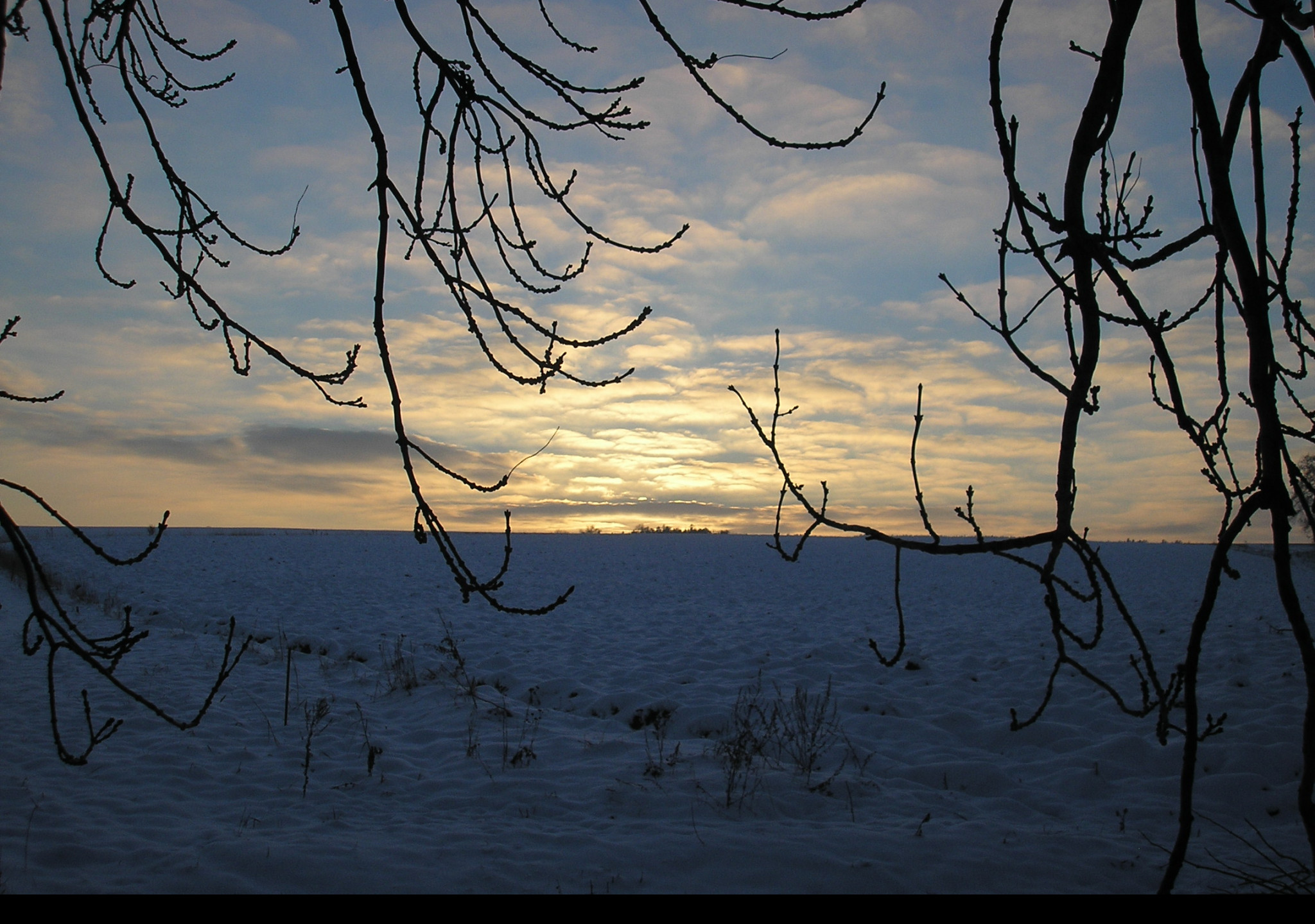 Tapeta radimer_promeny_02