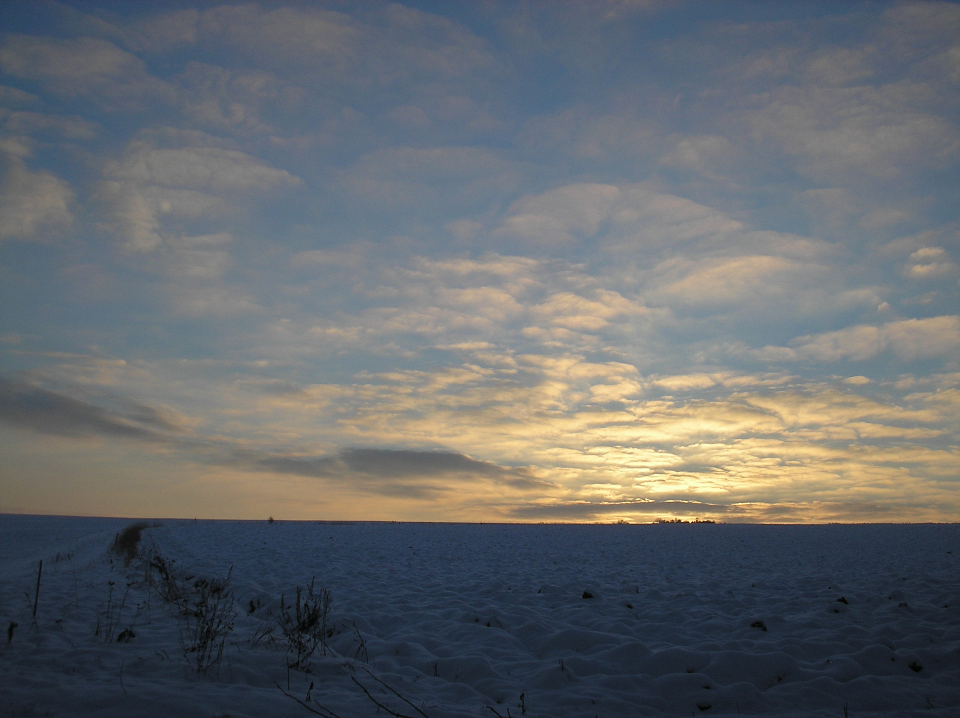 Tapeta radimer_promeny_03