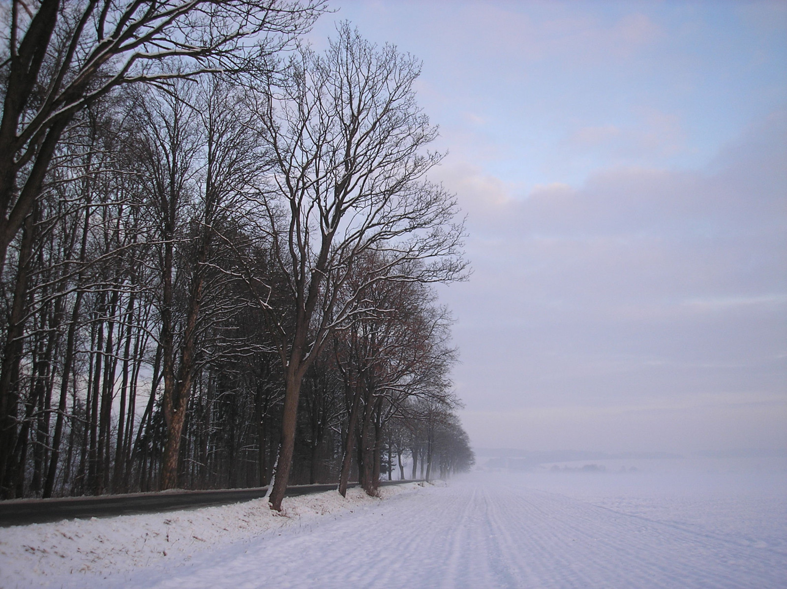 Tapeta radimer_promeny_04