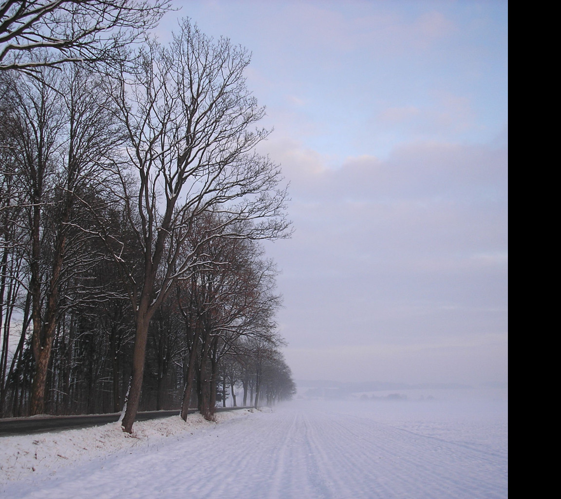 Tapeta radimer_promeny_04