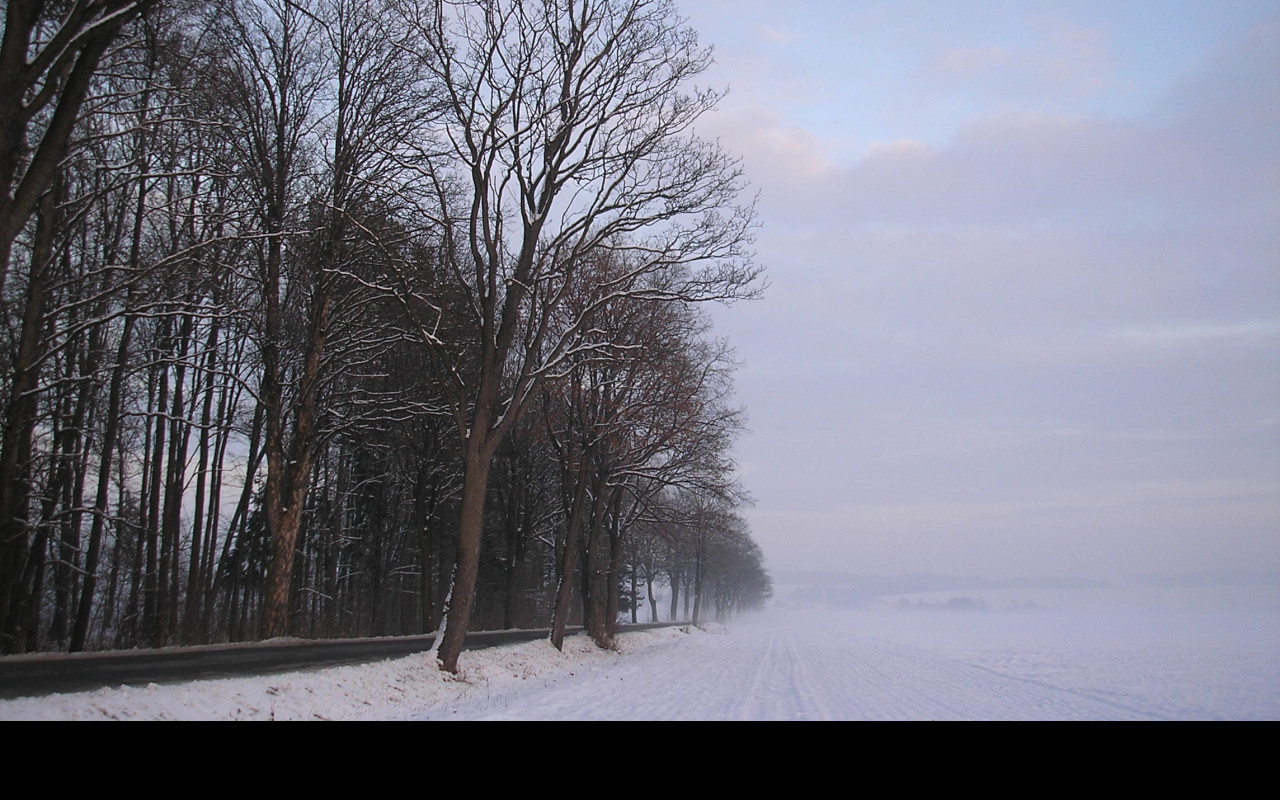 Tapeta radimer_promeny_04