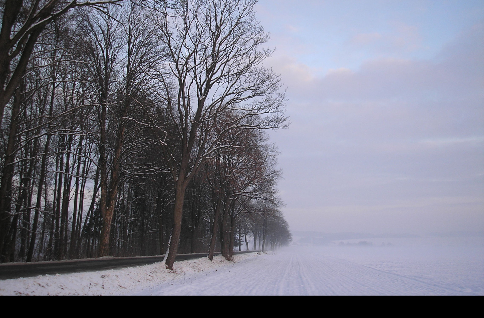 Tapeta radimer_promeny_04