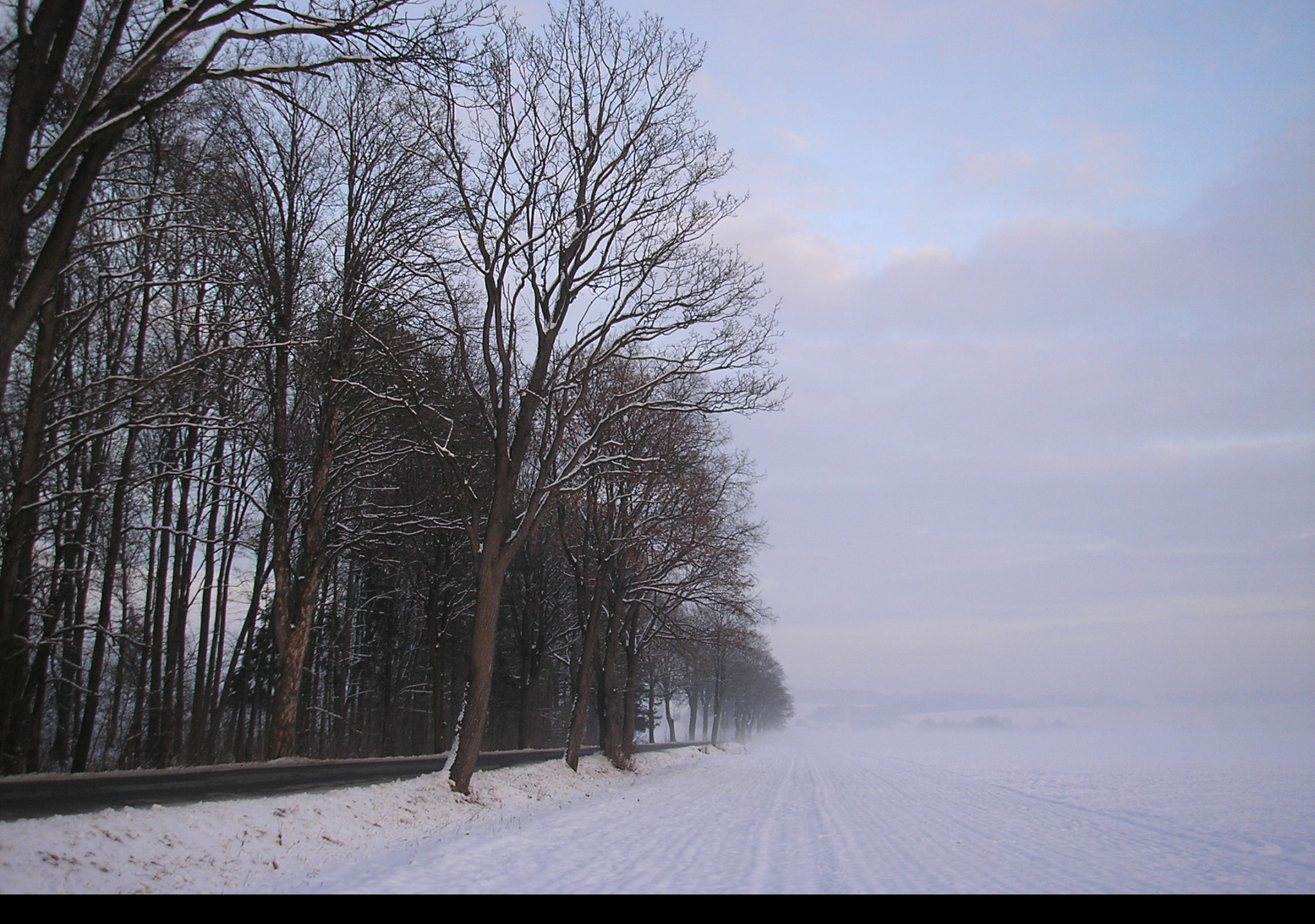 Tapeta radimer_promeny_04