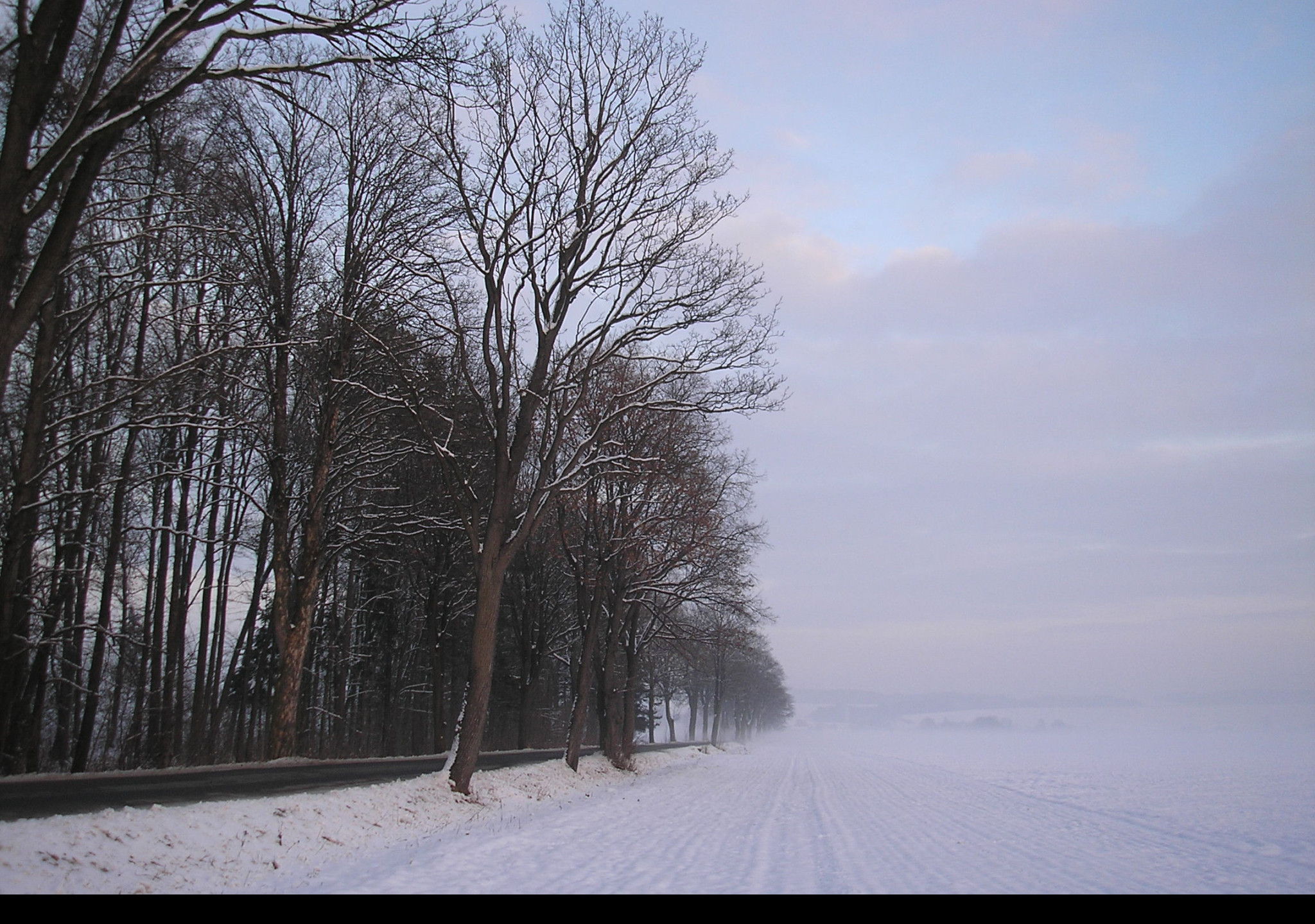 Tapeta radimer_promeny_04