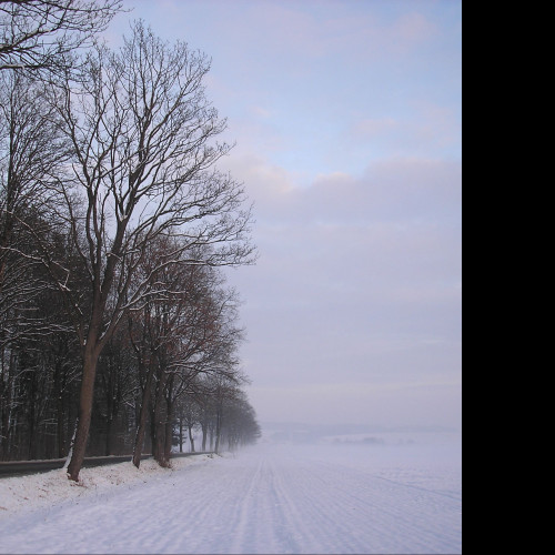 Tapeta radimer_promeny_04