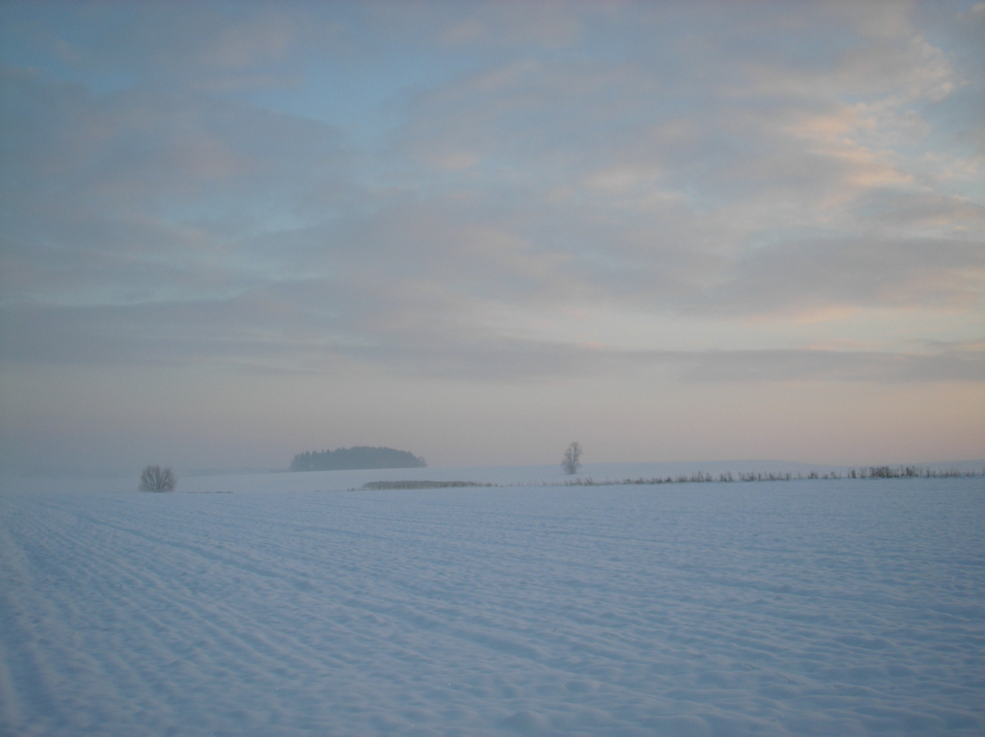 Tapeta radimer_promeny_05