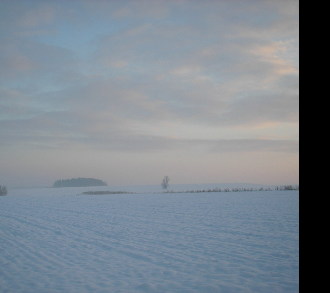 Tapeta radimer_promeny_05